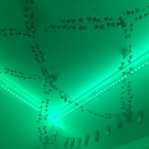 Meet your Posher, Hayley